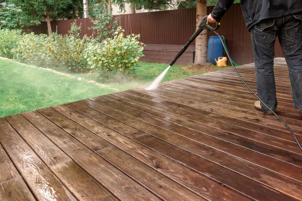 Best Soft Washing  in Winter Garden, FL